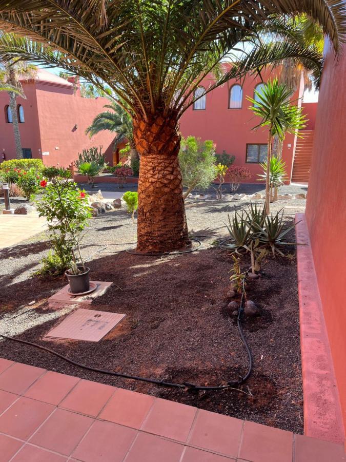 Apartament Casa Mimi Oasis Tamarindo Corralejo Zewnętrze zdjęcie